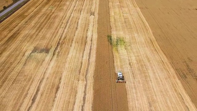 鸟瞰图:联合收获一大片麦田。正面，向上飞。视频下载