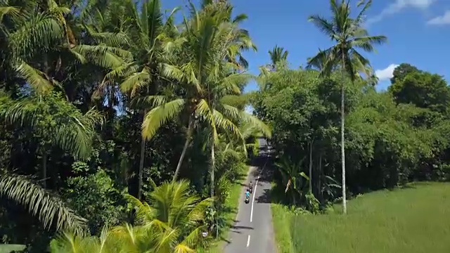 图片:游客骑着摩托车穿过棕榈树丛林前往村庄视频素材