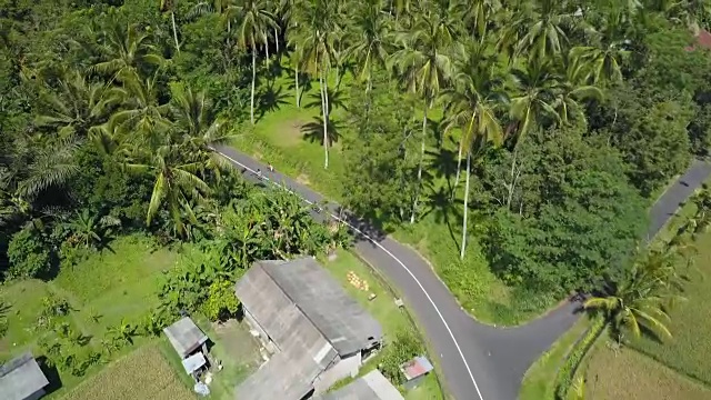 AERIAL:人们骑着摩托车穿过巴厘岛的一个有稻田的村庄视频素材