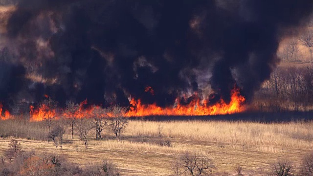 一场在干燥草地上快速蔓延的大火视频素材