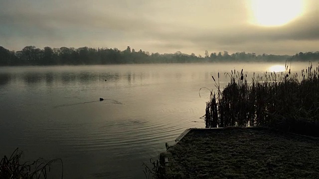 在一个寒冷的秋天的早晨，码头旁雾气蒙蒙的湖形成了一层薄雾视频下载