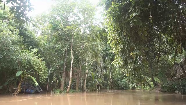 泰国热带雨林发生山洪视频素材