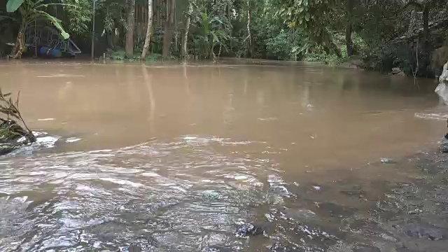 热带雨林的山洪视频素材