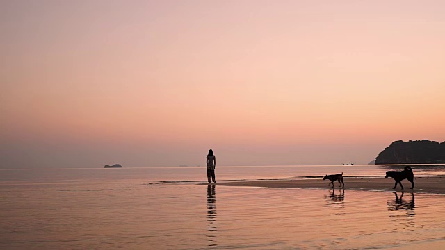 年轻的亚洲女人在日出的海滩上散步。视频素材