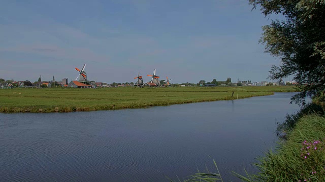 荷兰的风车——典型的荷兰风景视频素材