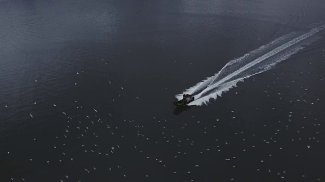 超高清4K天线:黄昏时分阿拉斯加渔船沿着海岸线巡航视频下载