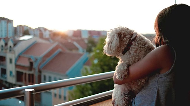 女孩和一只小狗在欣赏美丽的城市日落视频素材