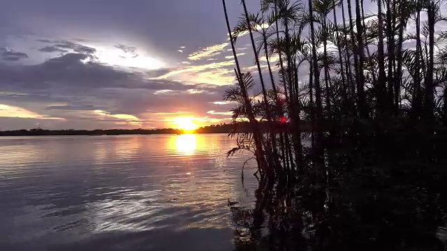 Cuyabeno野生动物保护区的日落。视频下载