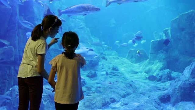 孩子们在一个巨大的水族馆里看鱼视频素材