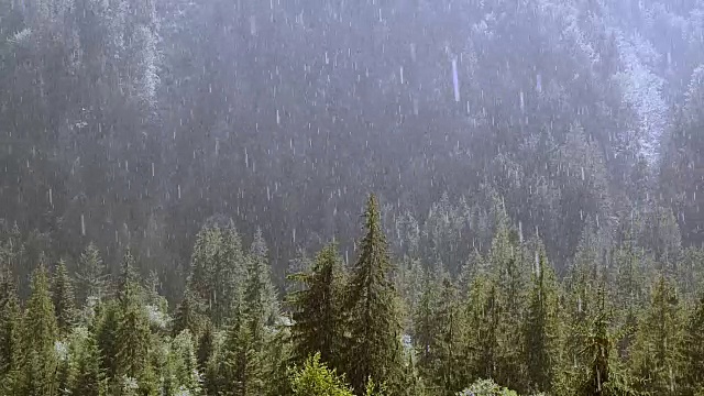 山区大雨，动作缓慢视频素材