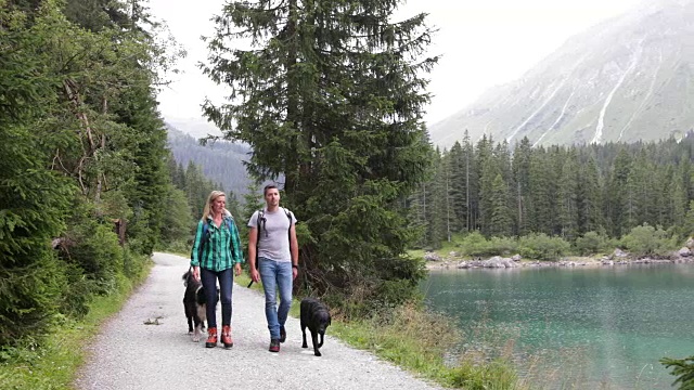 一对成年夫妇带着狗在湖边散步视频素材
