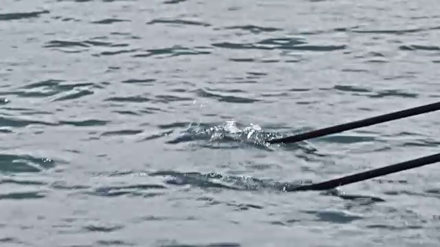 两只桨在水中划动视频素材