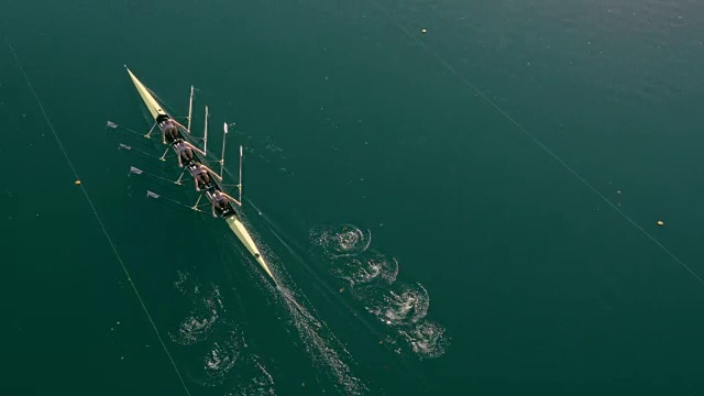四名运动员在阳光下在湖面上划桨视频下载