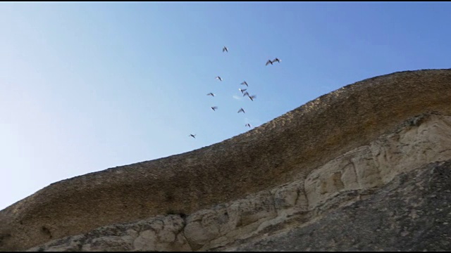 在卡帕多西亚的Zelve国家公园里，鸟儿们在岩丘上飞翔视频下载