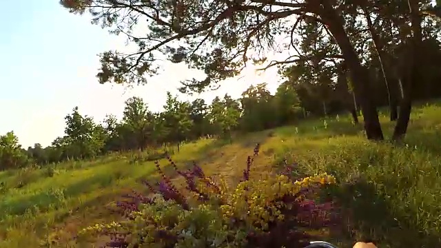 一个女人骑着一束花的自行车视频素材