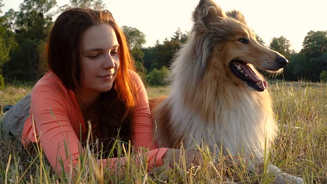 阳光下的绿地上，柯利牧羊犬和小女孩在一起视频素材