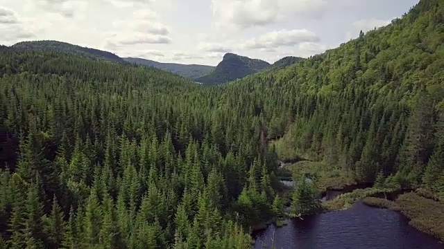 夏季北方自然森林和山地鸟瞰图视频下载