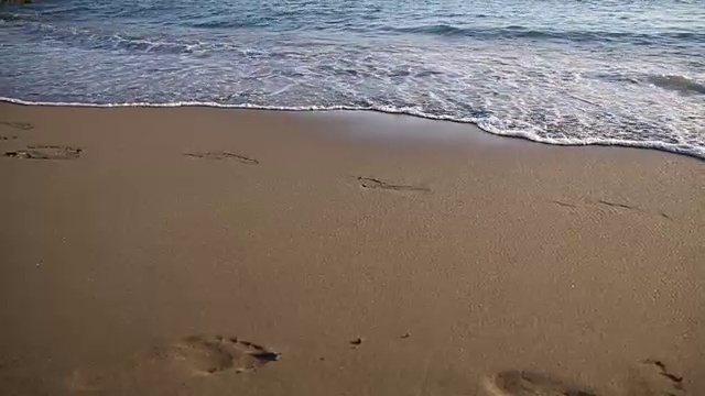 在海滩上散步视频下载