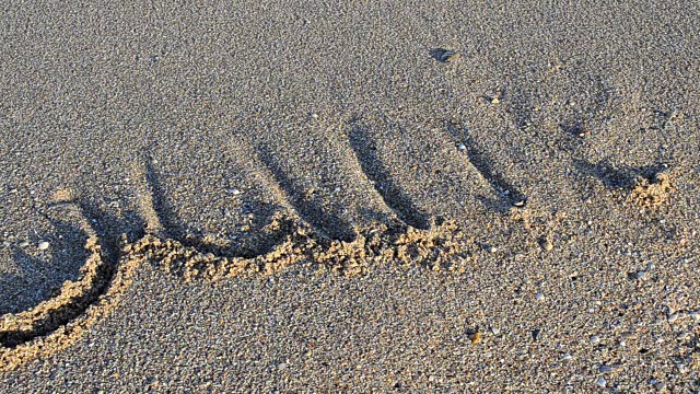 铭文六月沙上。碑文被海浪冲掉了。视频素材