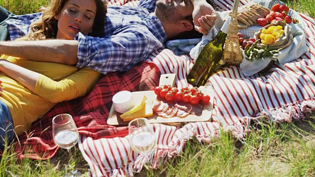 一对夫妇睡在橄榄农场的野餐毯子上视频下载