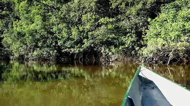乘坐独木舟在库亚贝诺河上缓慢航行。视频下载
