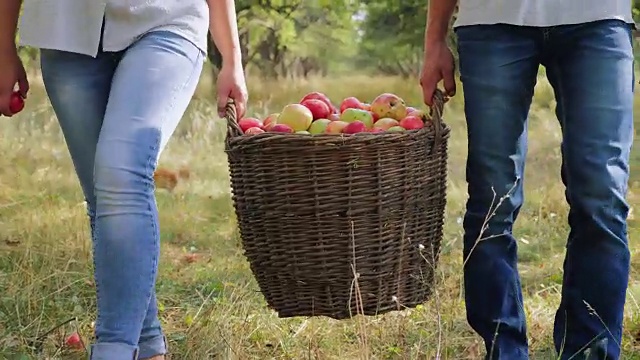 农民们提着满满一篮子苹果。特写镜头视频素材