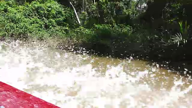 库亚比诺河上的独木舟。视频下载