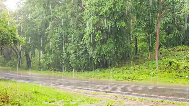 在通往森林的道路上，大雨导致交通中断视频下载