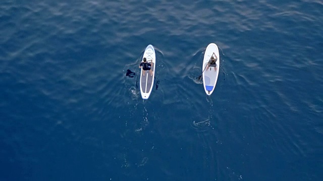 空中两个人划着他们的sup横渡深蓝色的大海视频下载