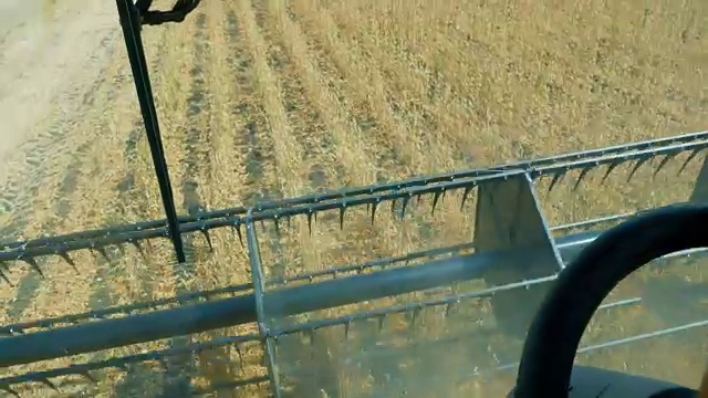 大豆。收割大豆。种子收割机将大豆种子脱粒以便将来播种视频素材