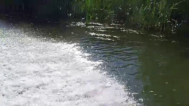 行驶在多瑙河三角洲水道上的摩托艇视频素材