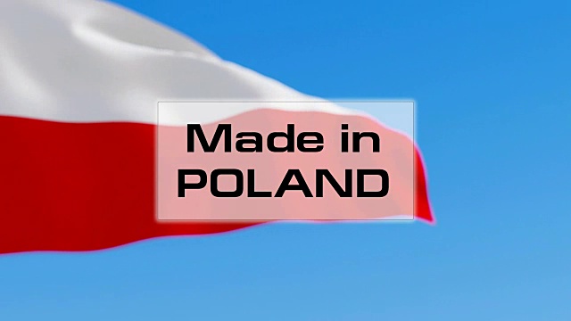 在波兰视频下载