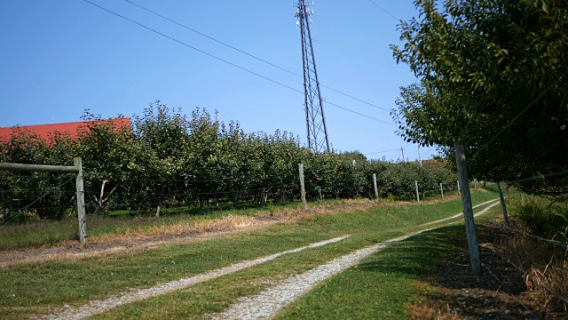 拍摄于苹果园旁的乡间小路视频素材
