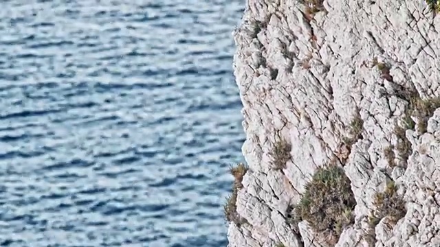 图男攀登者爬上悬崖峭壁以上的大海视频素材