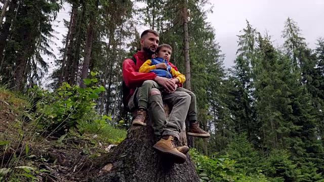 父亲坐在树桩上给儿子看史密斯视频素材