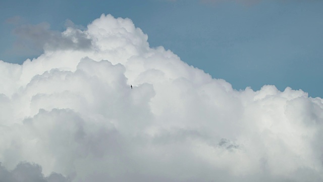雨燕或燕子在白云的映衬下飞翔。在夏天的一天，棉质积云通过蓝天移动的缩放镜头视频下载