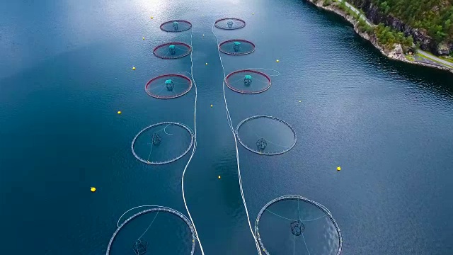航拍挪威农场捕捞鲑鱼视频下载