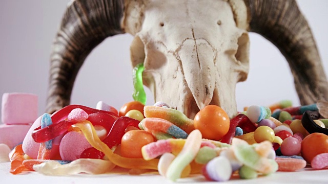动物头骨和各种糖果在白色背景4k视频素材