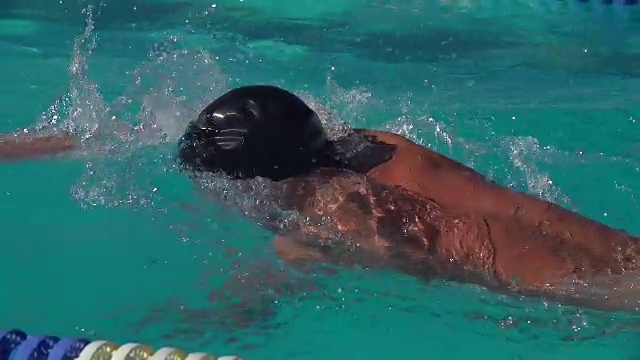 慢动作自由泳成年男子游泳运动员视频素材