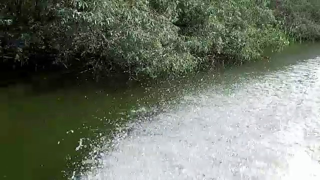 多瑙河三角洲的慢镜头视频素材