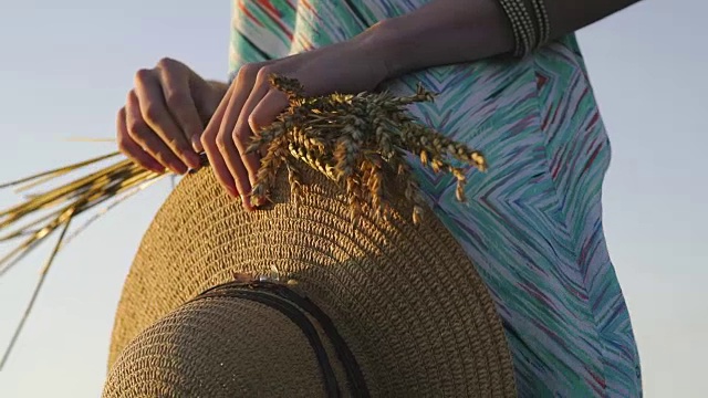 图片特写的两只手拿着金色的麦穗和草帽在球场上。金色的乡村户外景色视频下载
