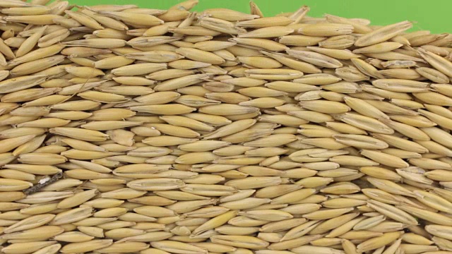 移动燕麦粒，打开绿色的屏幕视频下载