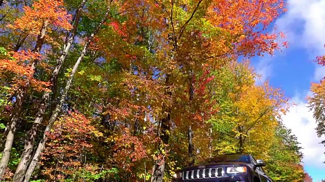 慢镜头蓝色越野车行驶在色彩斑斓的森林里，秋叶纷飞视频素材
