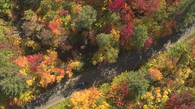 空中俯瞰:越野车行驶在美丽多彩的秋天森林的空旷道路上视频素材