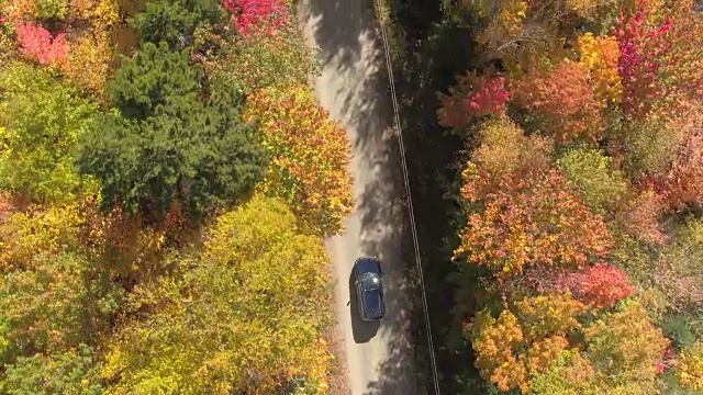 空中俯瞰:越野车行驶在美丽多彩的秋天森林的空旷道路上视频素材