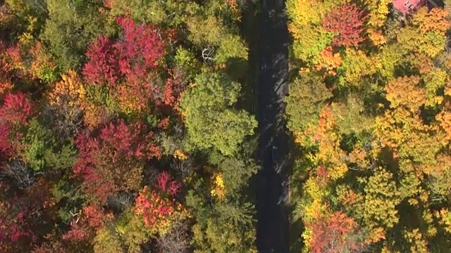 空中敞篷越野车行驶在美丽多彩的秋林中视频素材
