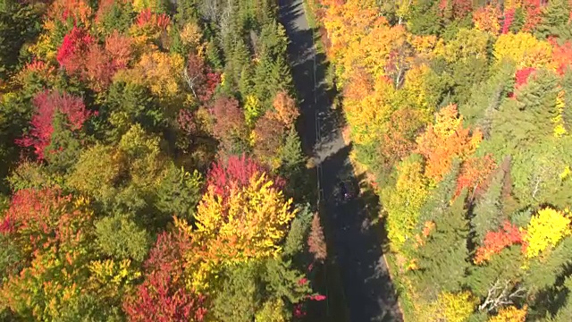 空中俯瞰:一辆越野车在秋季森林中红色和黄色的树梢下行驶视频素材