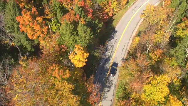 空中俯瞰:一辆越野车在秋季森林中红色和黄色的树梢下行驶视频素材