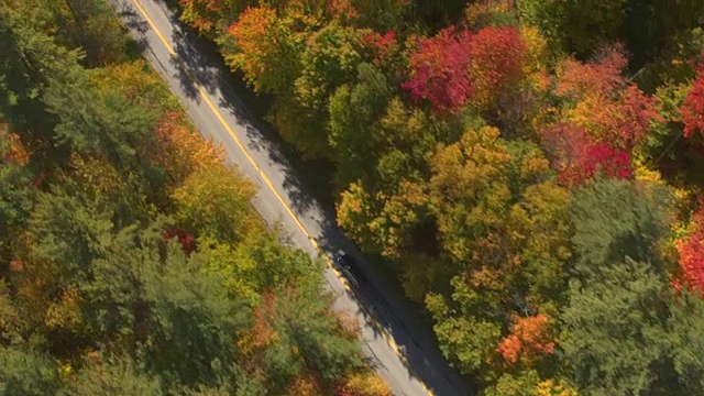 航拍:越野车在树叶偷窥公路上行驶，穿过五彩缤纷的秋天森林视频素材