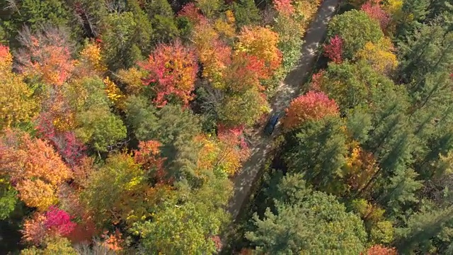 航拍:越野车在树叶偷窥公路上行驶，穿过五彩缤纷的秋天森林视频素材